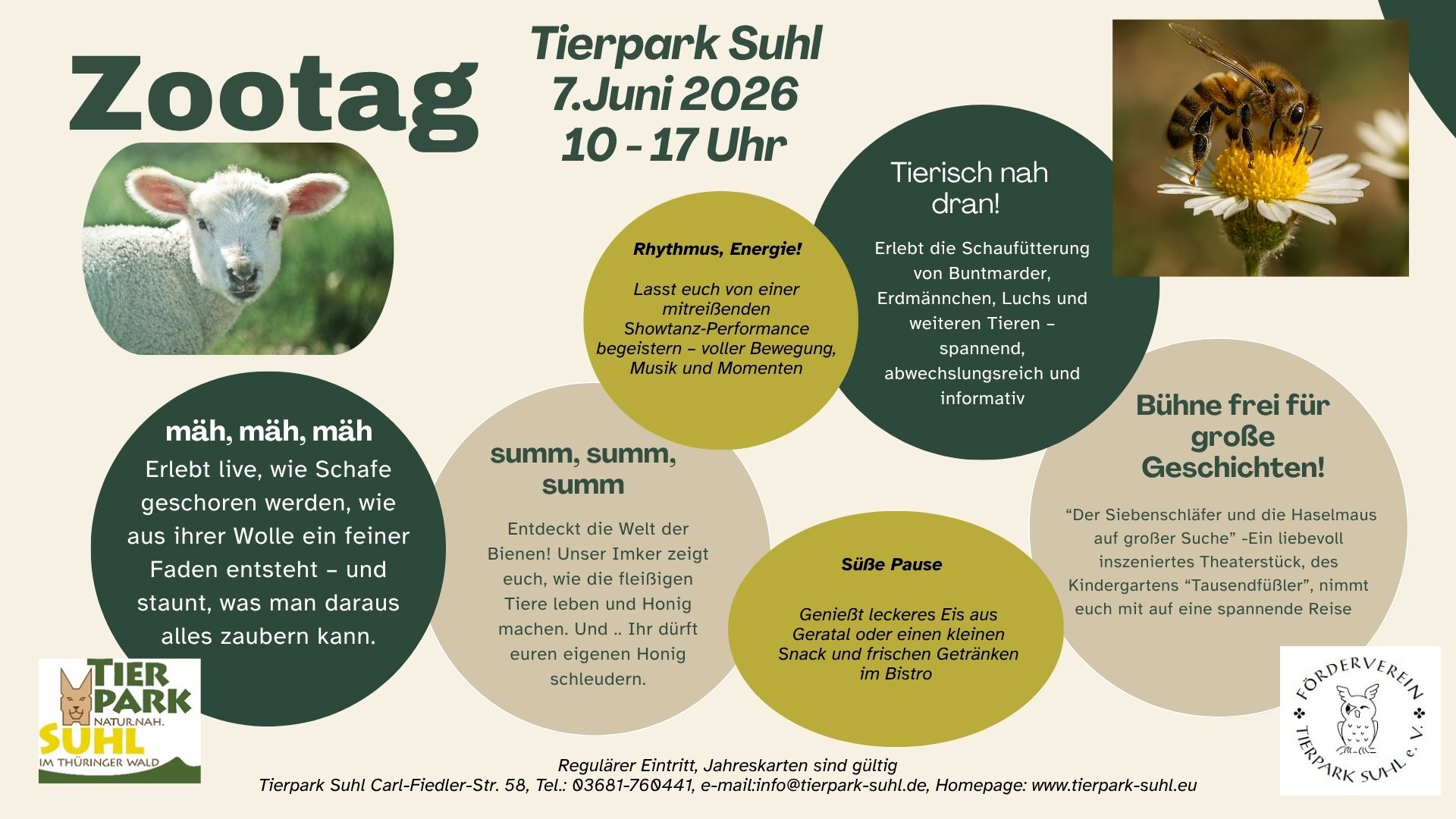 Flyer quer